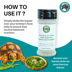 Tortoise Resource Center shaker-front view highlighting convenient 30-day supply.