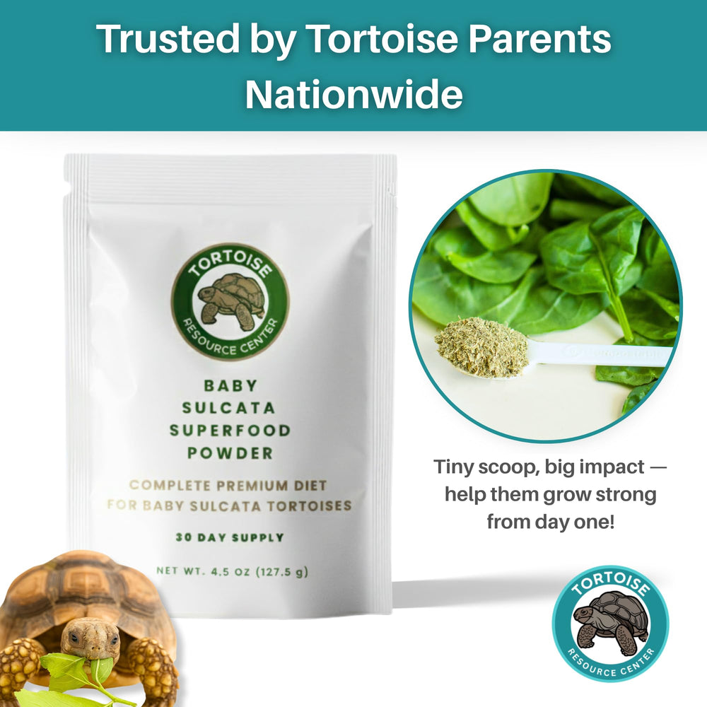 Tortoise Resource Center webinar de cuidado de tortugas para aprender