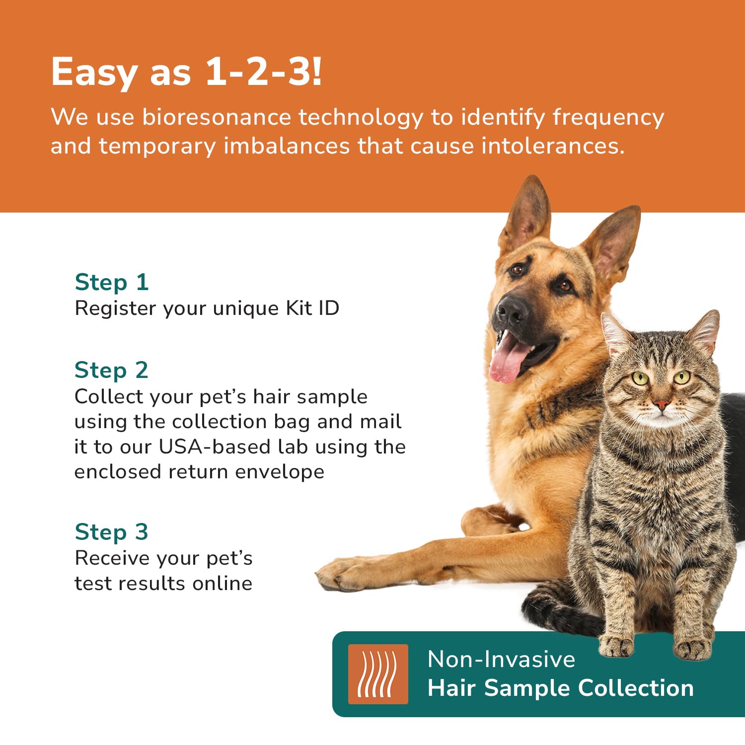 TotalVet prepaid-return-envelope simplifies sending your dog's sample back.