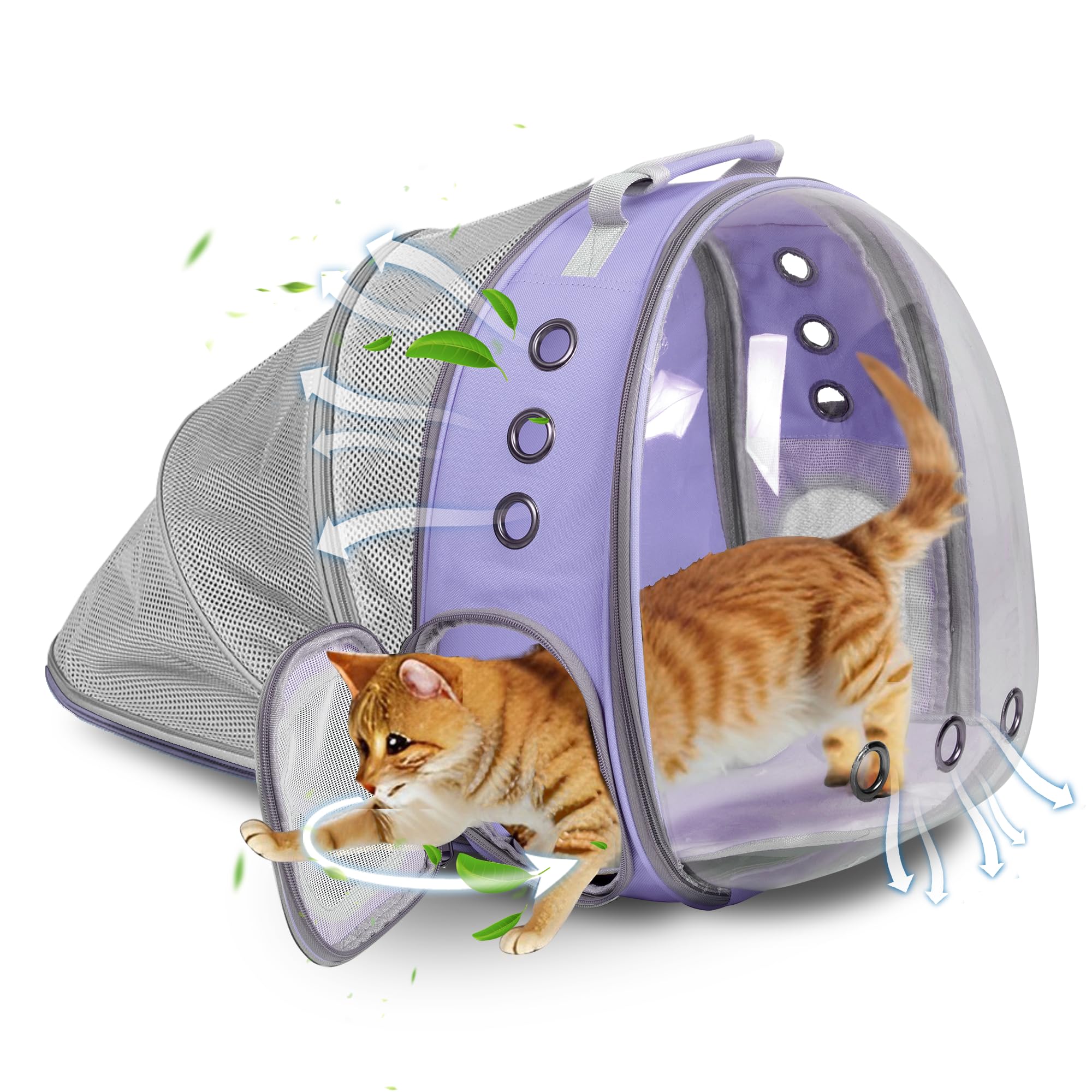 TOYSINTHEBOX cat backpack back expandable bubble purple increases space for larger cats during trips