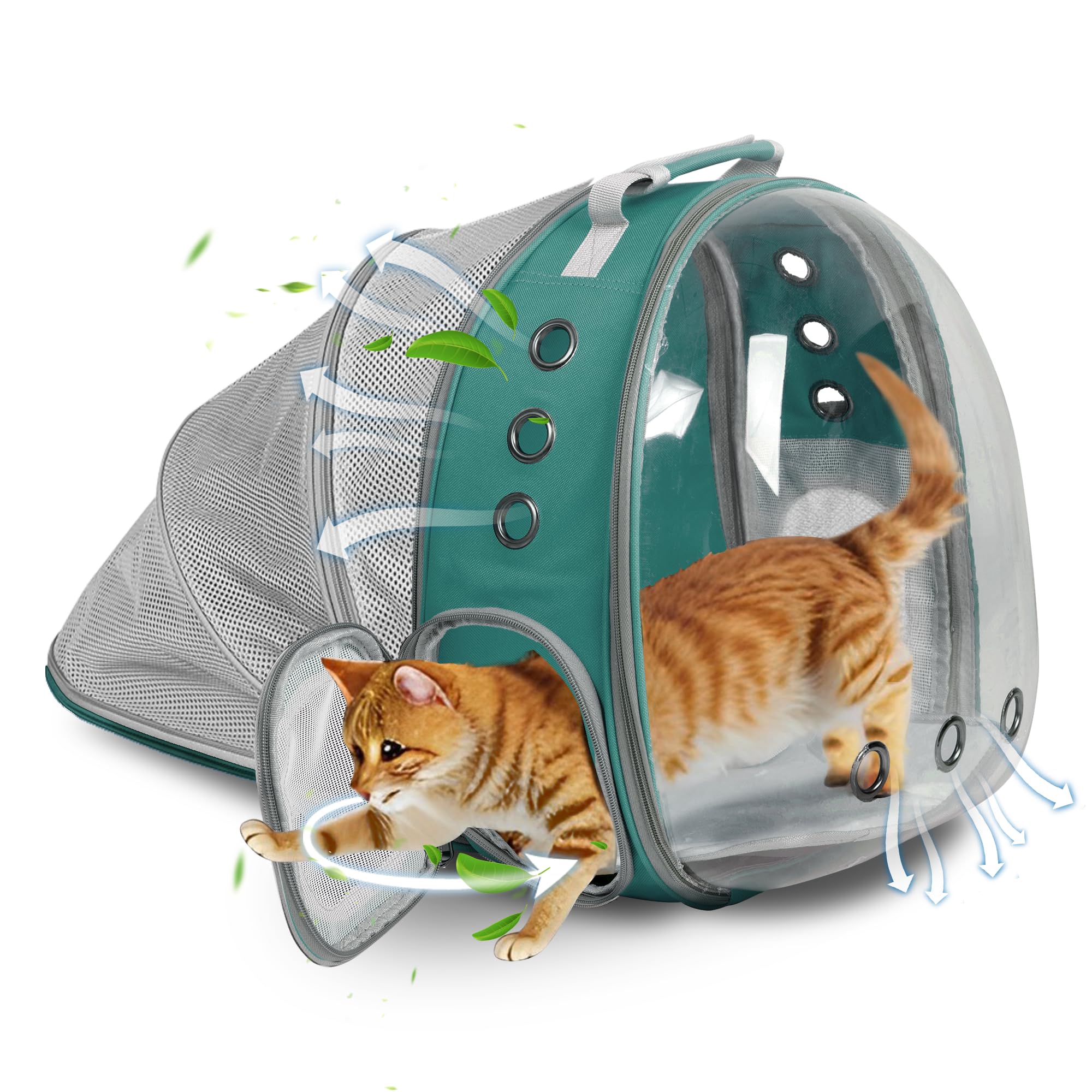 TOYSINTHEBOX Cat Backpack Carrier back-expandable bubble window for comfortable outdoor travel.