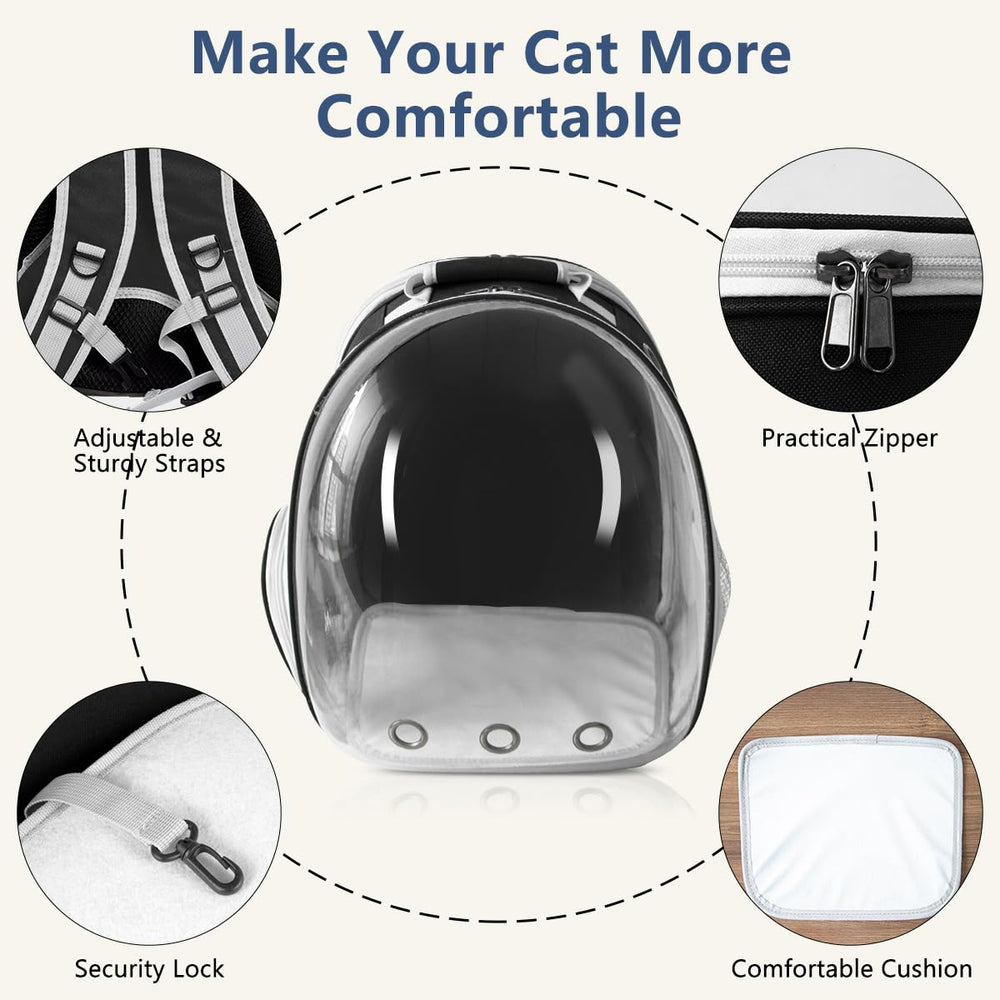 TOYSINTHEBOX carrier dimensions show expandable space for medium cats and small dogs