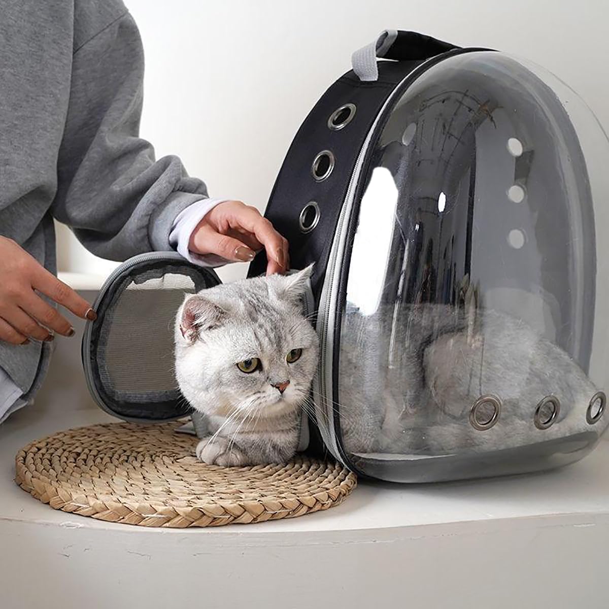 TOYSINTHEBOX safety hook keeps kittens secure inside the carrier