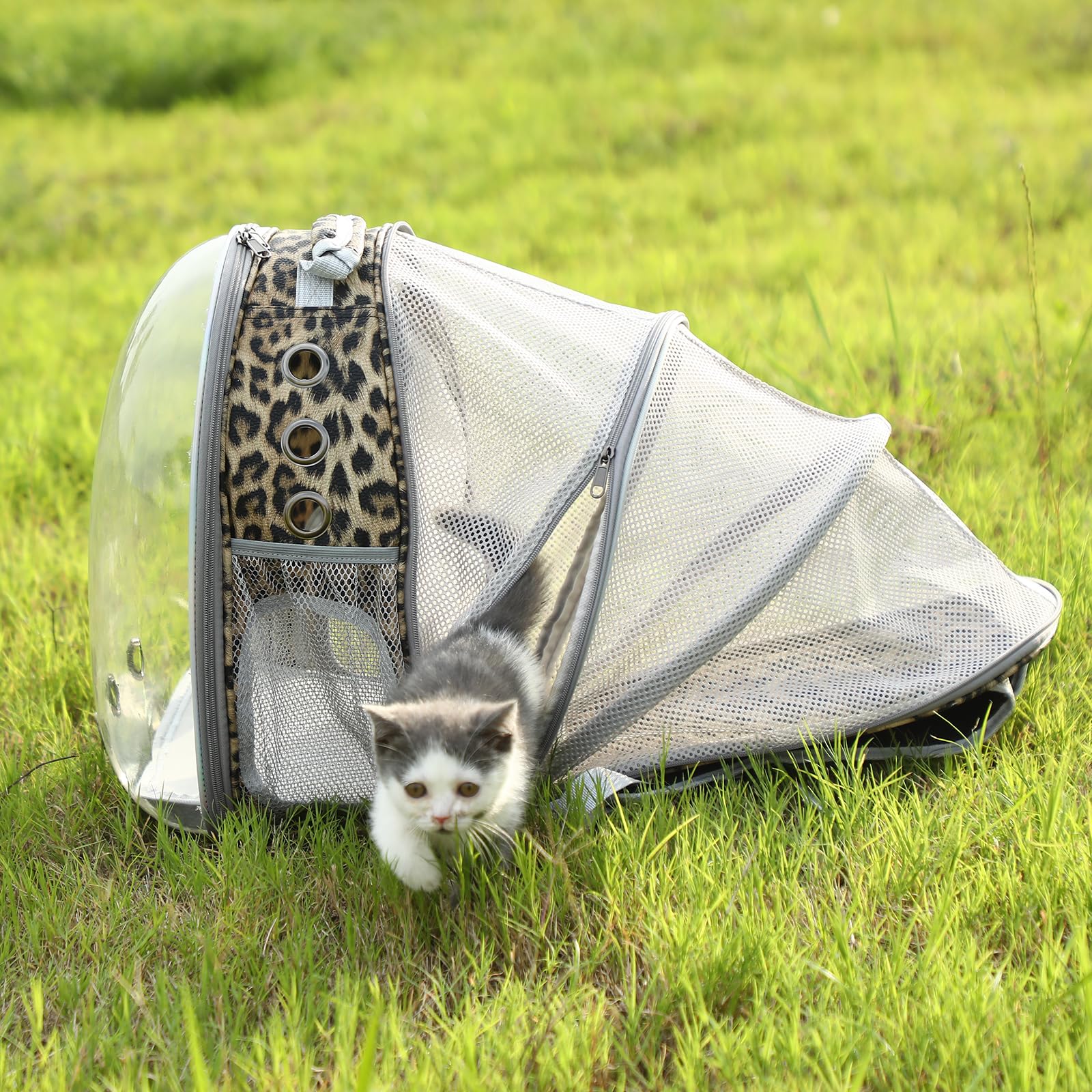 TOYSINTHEBOX cat backpack ergonomic straps reduce shoulder strain during hikes.