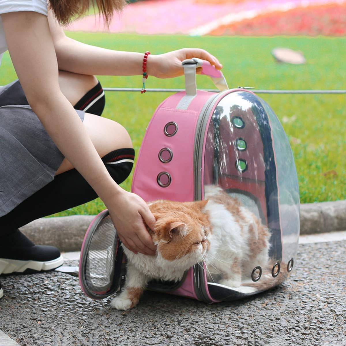 TOYSINTHEBOX cat backpack expandable pink reinforced bottom for stability