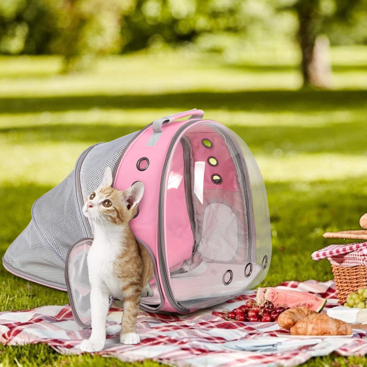 TOYSINTHEBOX cat backpack expandable pink padded shoulder straps for comfort
