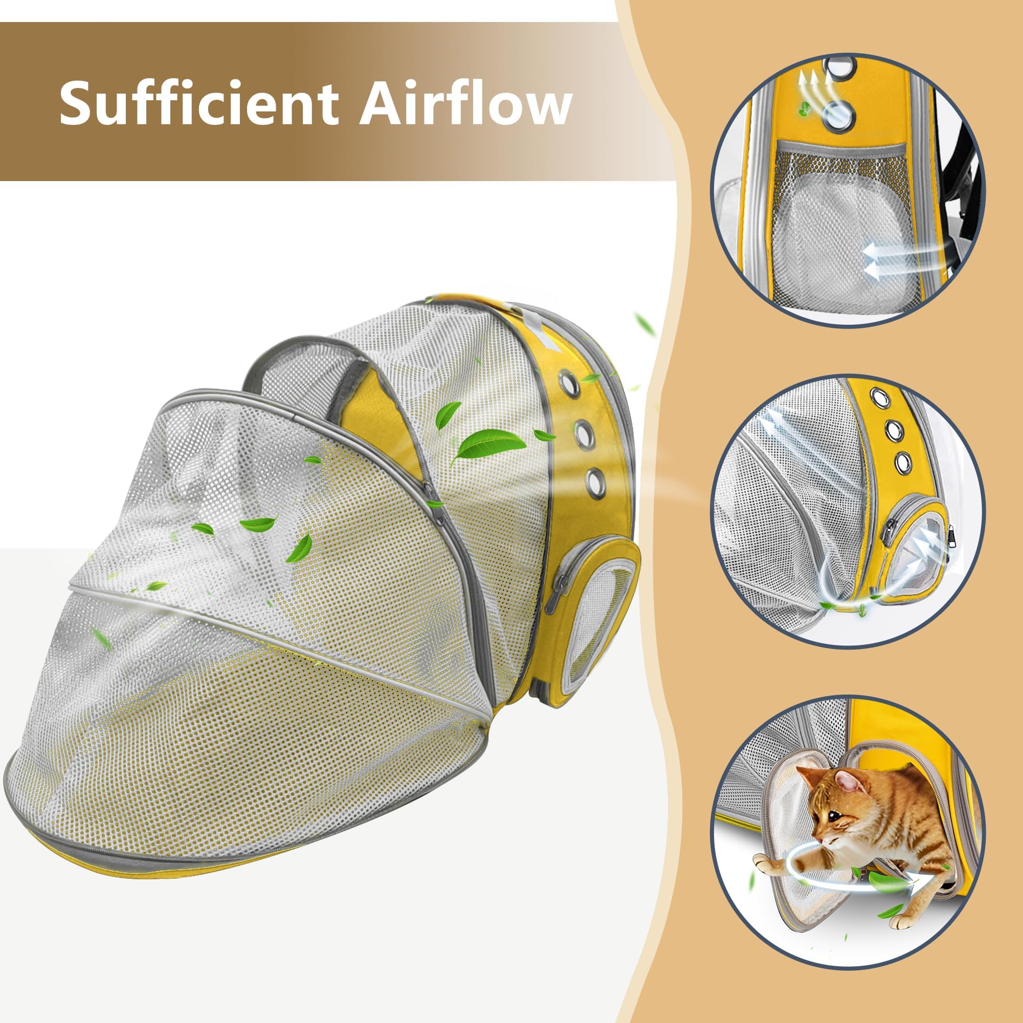 TOYSINTHEBOX cat backpack safety hook prevents escapes during travel