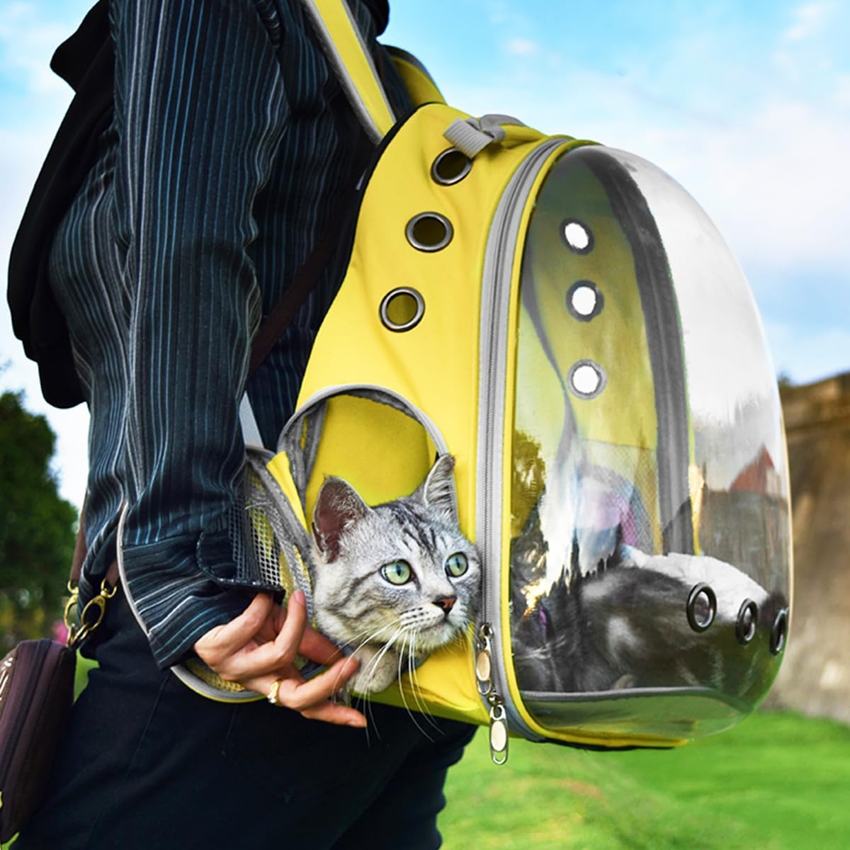TOYSINTHEBOX cat backpack ergonomic straps reduce shoulder strain on outings
