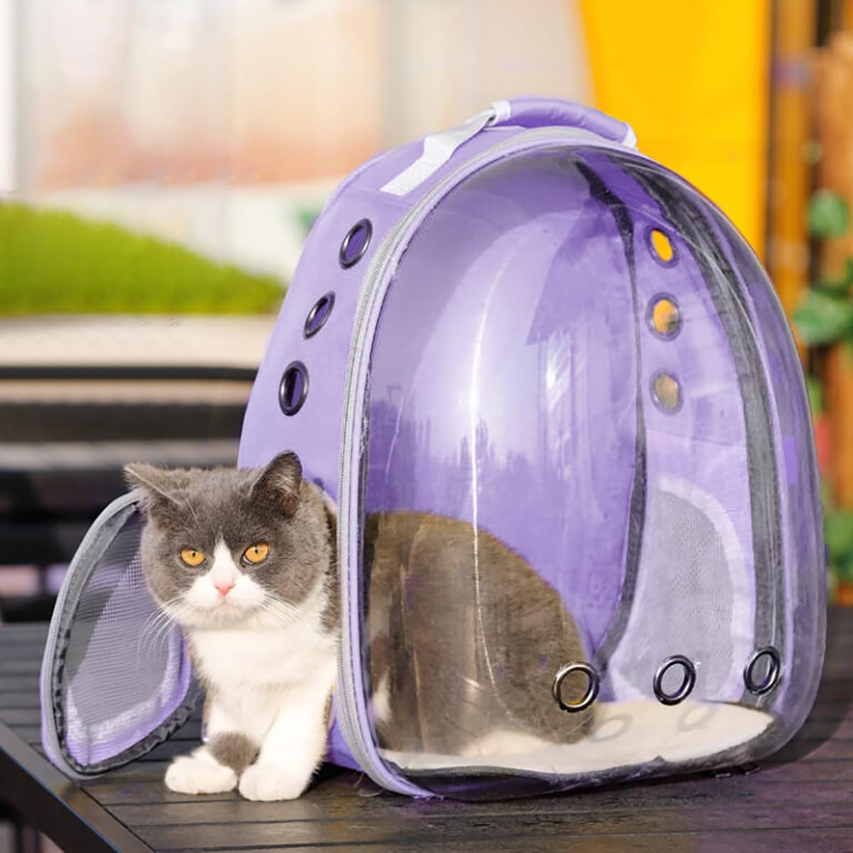 TOYSINTHEBOX cat backpack side pockets provide convenient storage for treats and leashes
