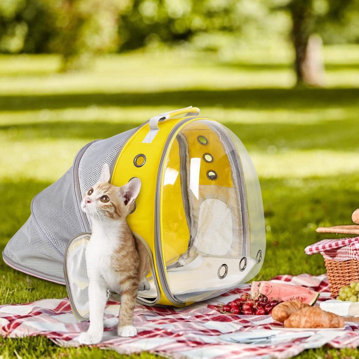 TOYSINTHEBOX cat backpack ventilation mesh panels keep air circulating on trips