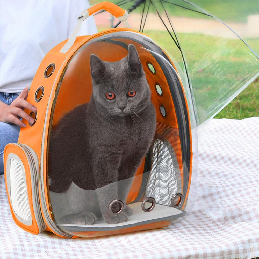 TOYSINTHEBOX nine-ventilation system ensures steady airflow for pets
