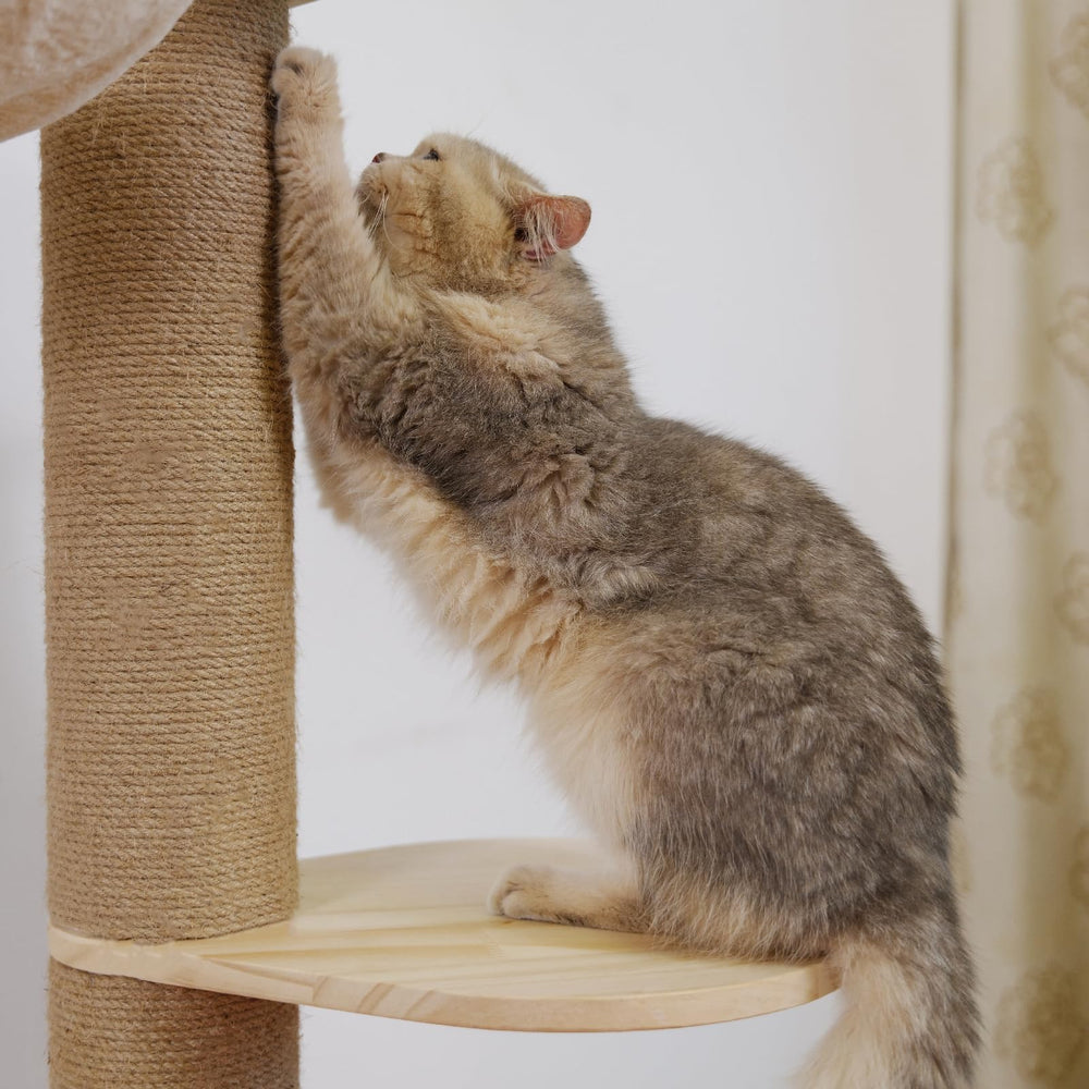 TQEW cat tree is suitable for indoor use and sheltered outdoor spaces.