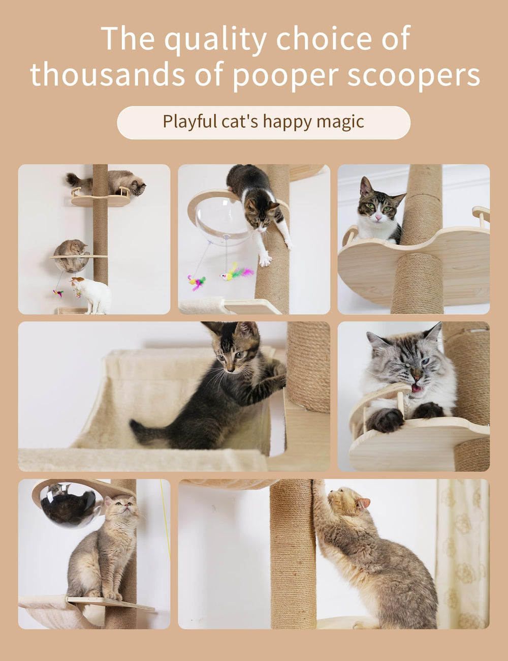 TQEW floor-to-ceiling cat tree assembly guide with included tools
