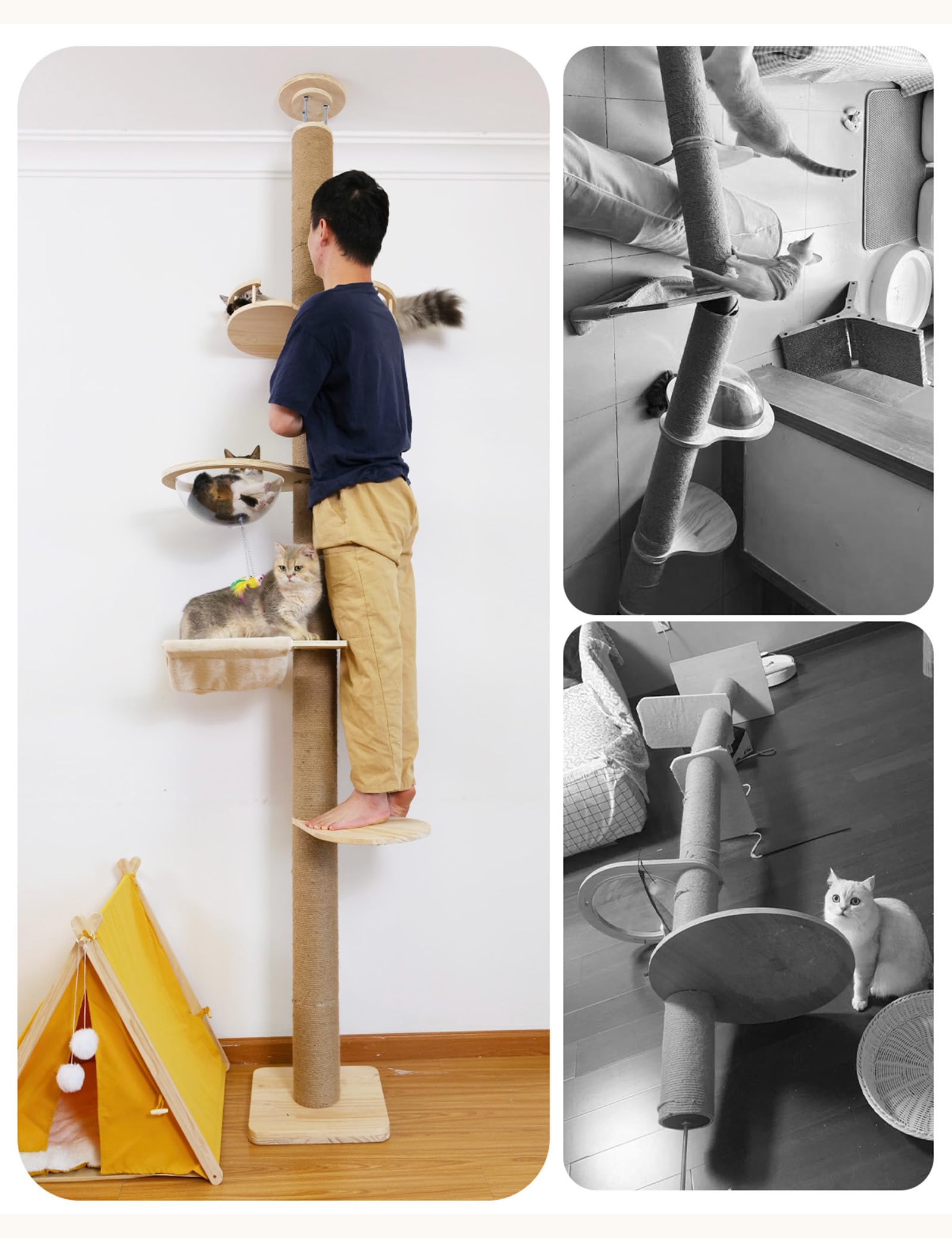TQEW floor-to-ceiling cat tree stable design prevents wobble around active cats