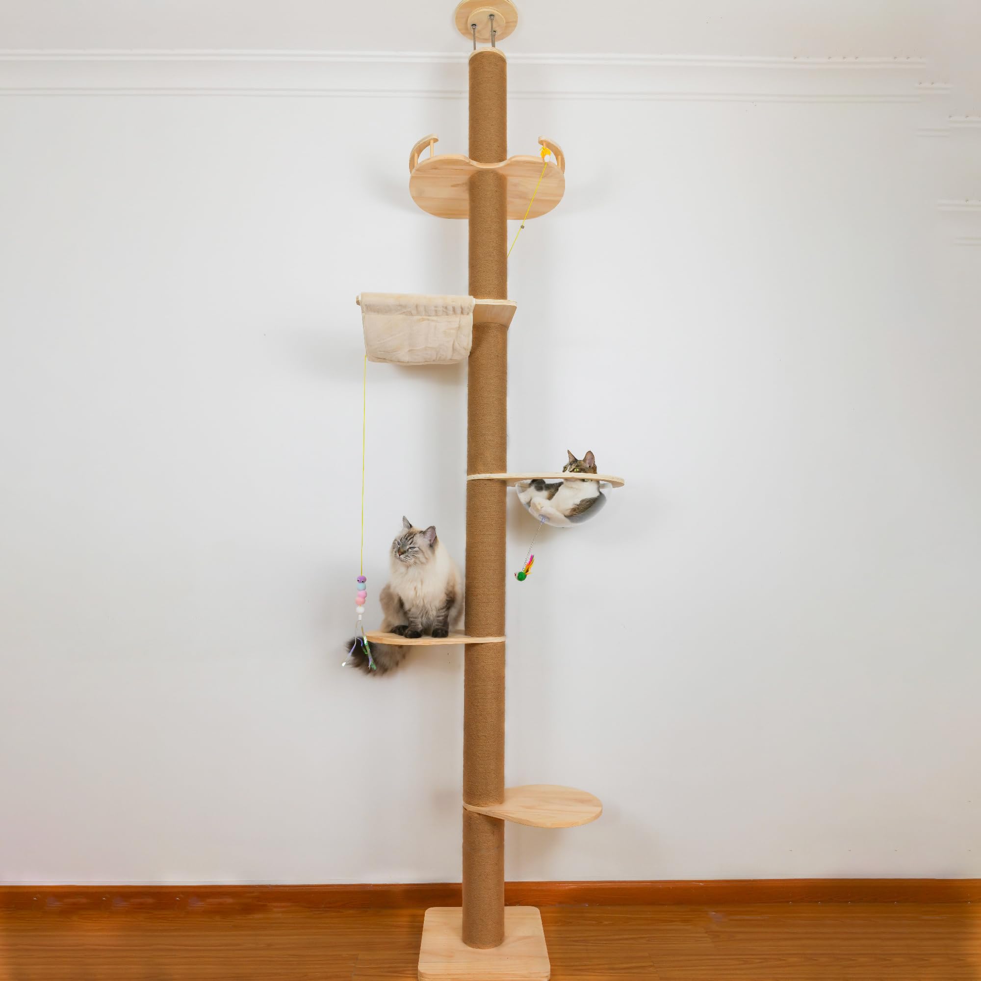 TQEW floor-to-ceiling cat tree top-structure supports stable multi-cat play.