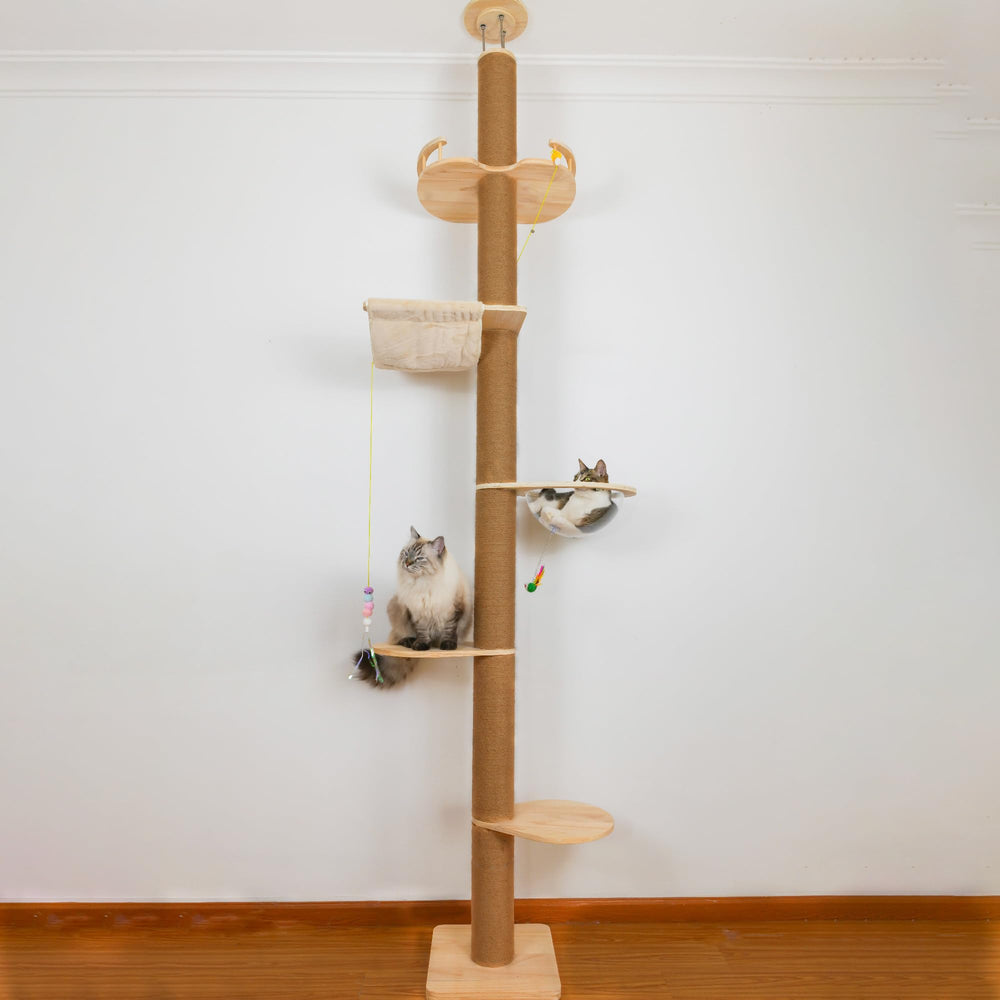 TQEW floor-to-ceiling cat tree top-structure supports stable multi-cat play.