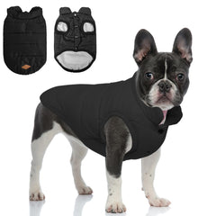 TQFlow warm dog coat front view showing snug fit for cold-weather walks