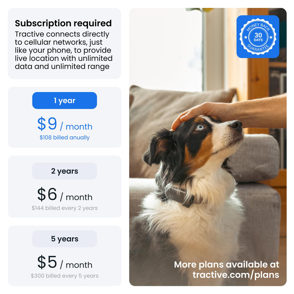 Tractive escape alerts and location history help retrace your dog’s movements.
