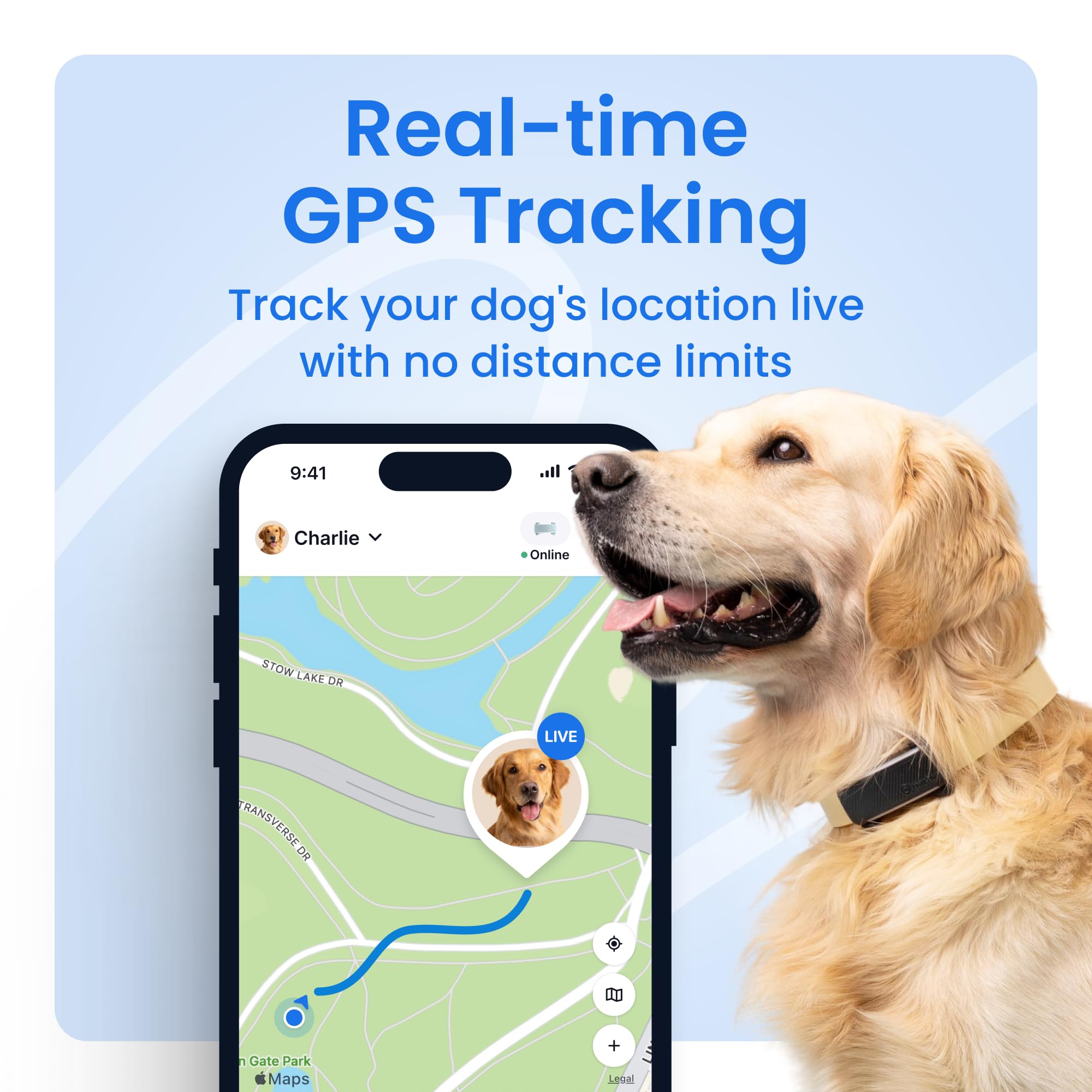 Tractive live-location updates every 2–3 seconds provide near-instant visibility during walks.