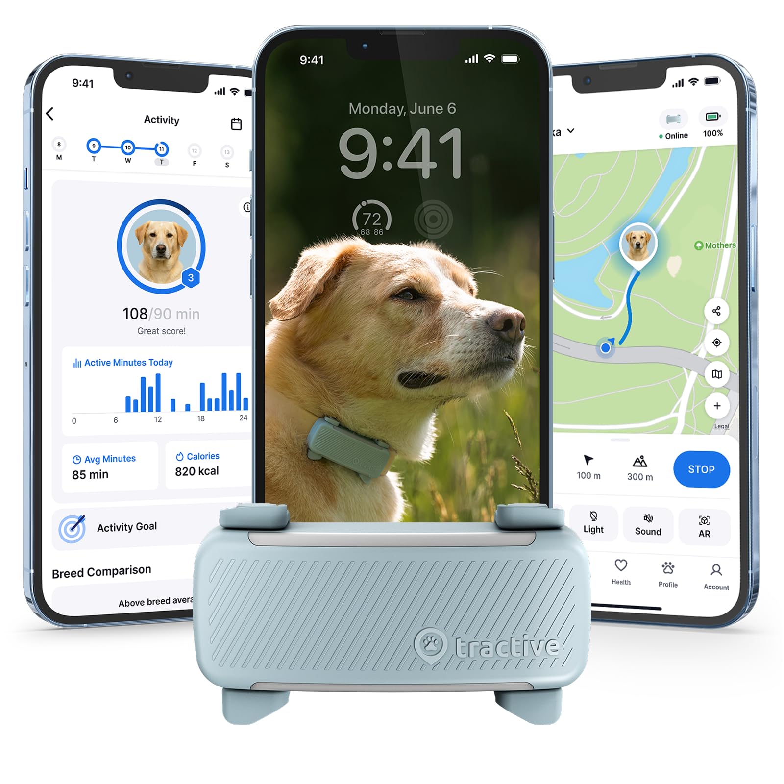 Tractive Smart Dog GPS Tracker Mint on collar shows real-time location for quick safety checks.
