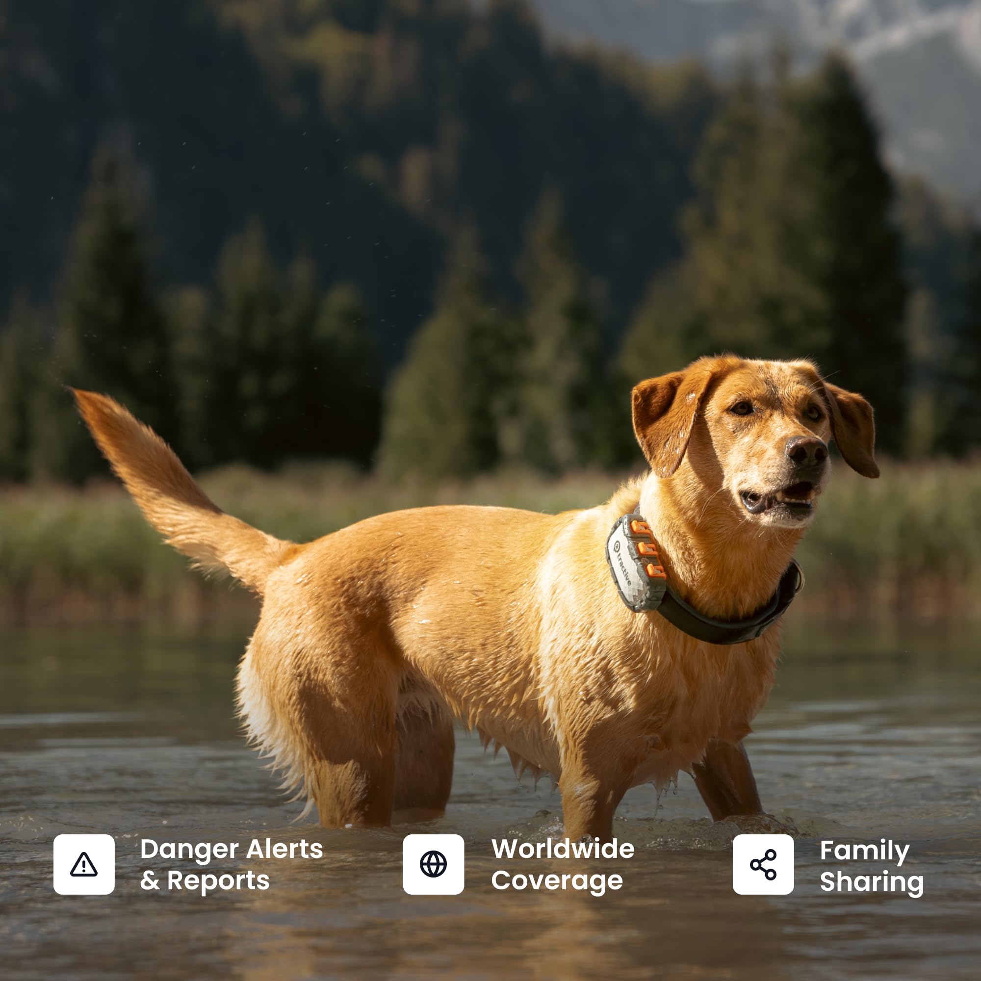 Tractive XL collar attachment securing the device during adventures.