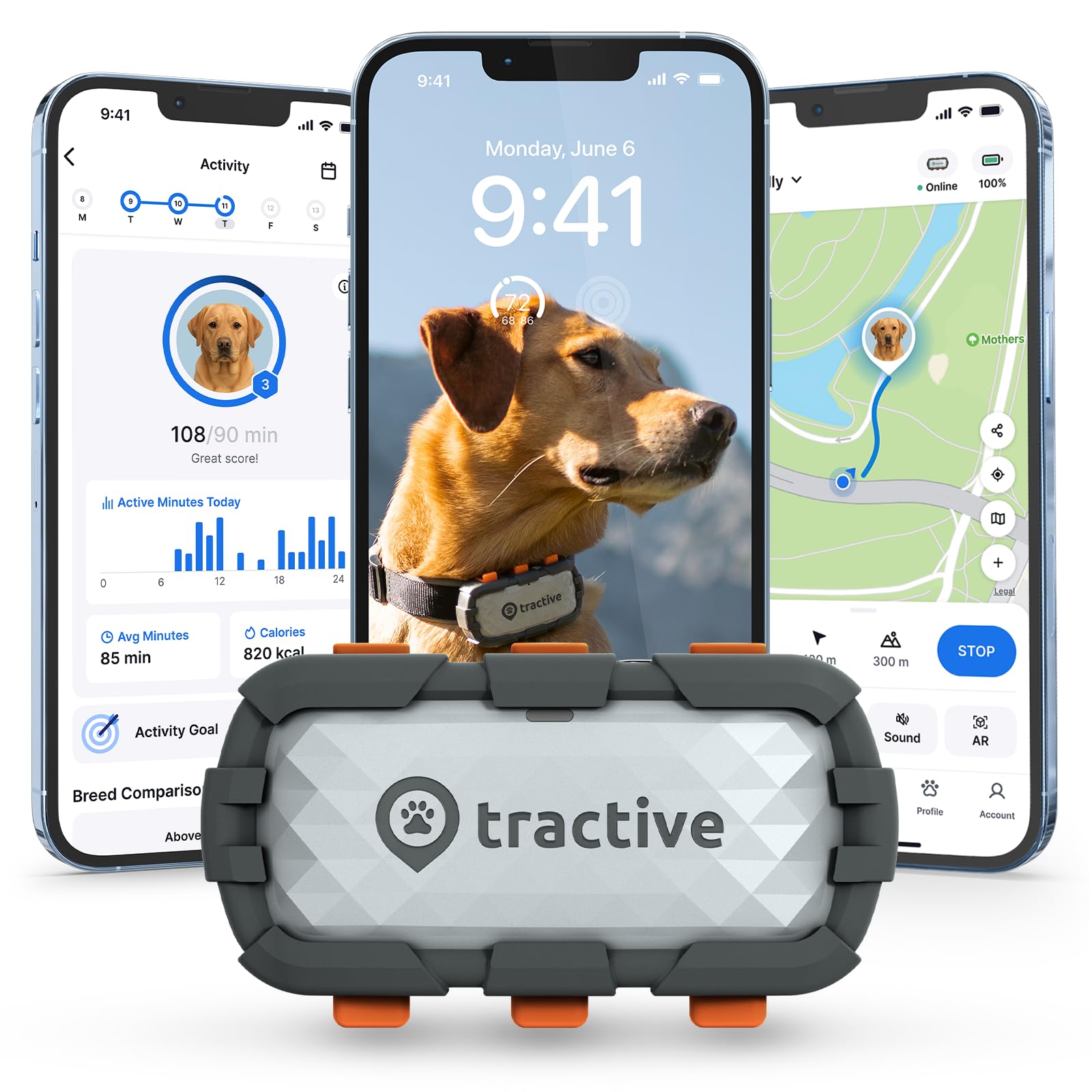 Tractive XL GPS live-tracking map view for quick location updates and peace of mind.