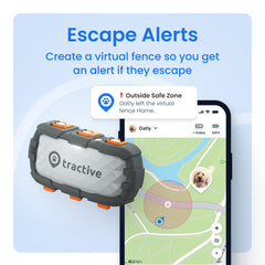 Tractive XL heart rate monitor display for real-time wellness insights.