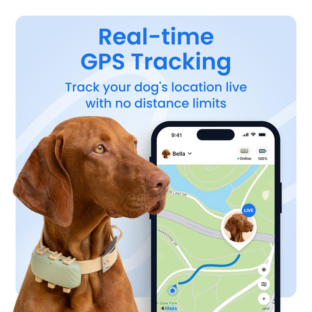 Tractive XL live tracking map view shows location updates every few seconds.