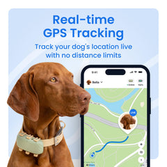 Tractive XL live tracking map view shows location updates every few seconds.