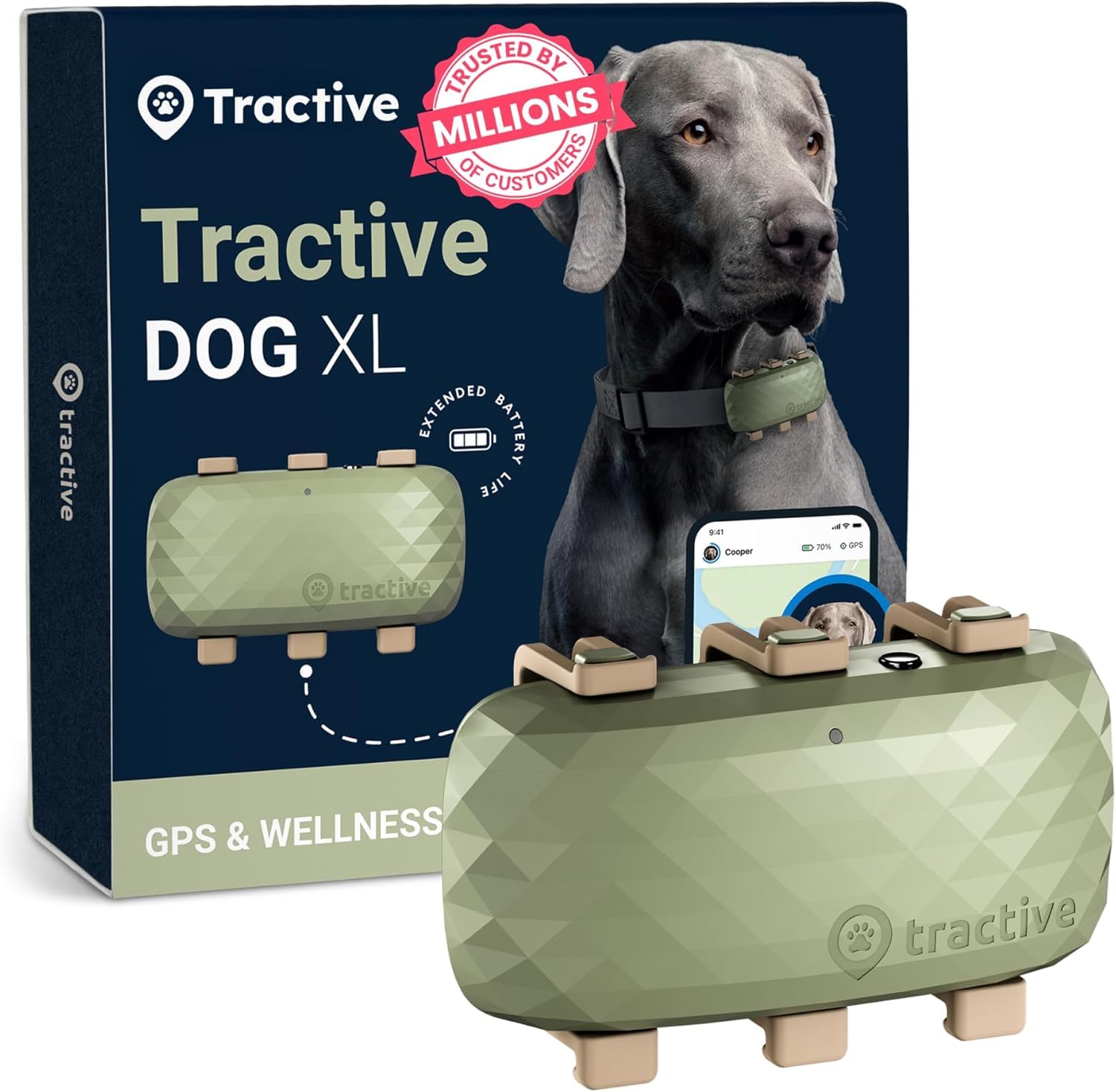 Tractive XL GPS tracker on collar provides real-time location alerts for peace of mind.
