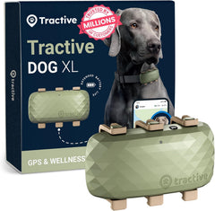 Tractive XL GPS tracker on collar provides real-time location alerts for peace of mind.
