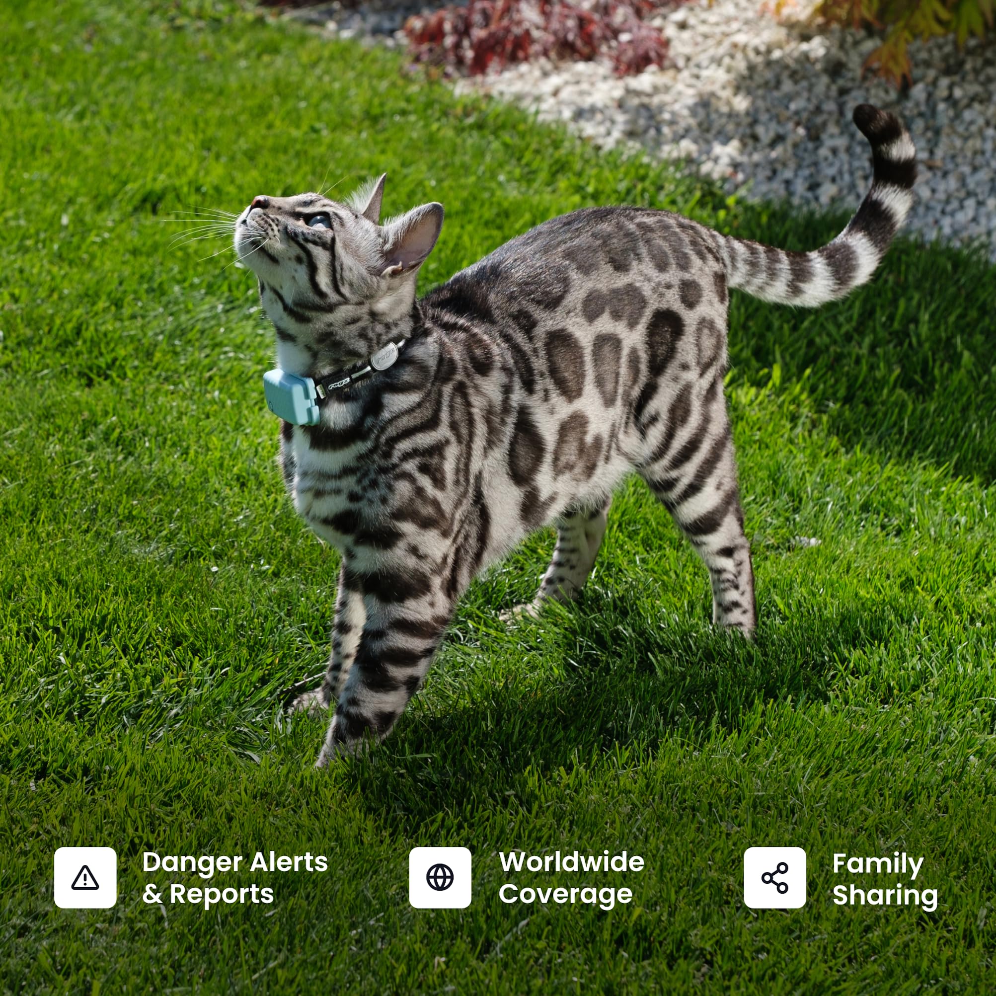 Tractive XL subscription includes risk-free trial and unlimited data.