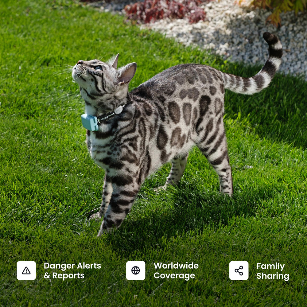 Tractive XL subscription includes risk-free trial and unlimited data.