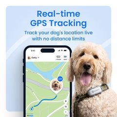 Tractive XL live-tracking with virtual fence setup to secure safe zones.