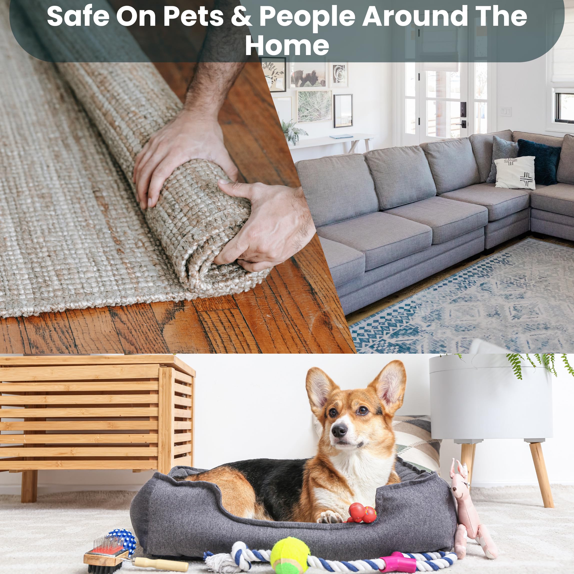 Trail Guard non-toxic formula image conveys safe-use for pets and home environments.
