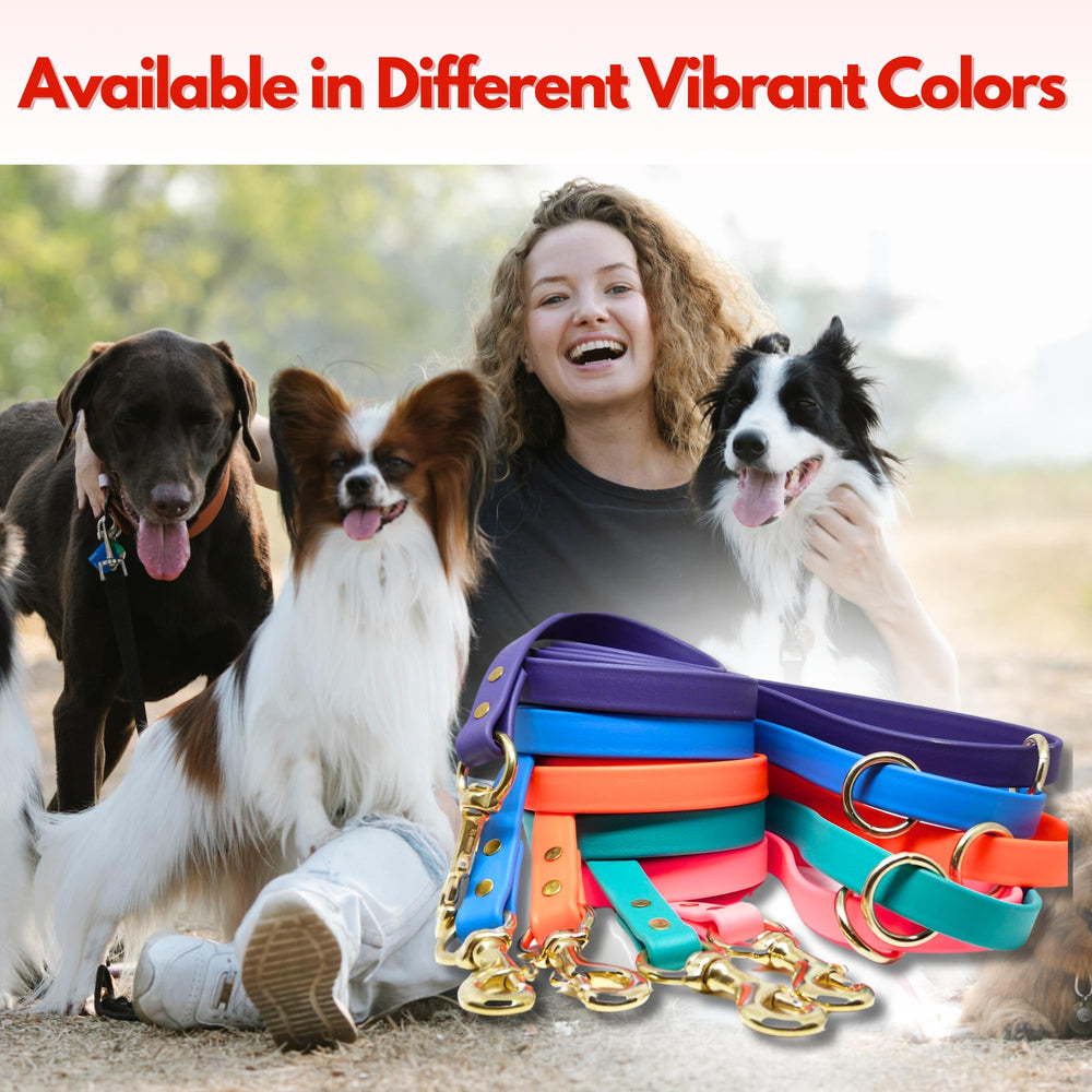 Training action with Gummy Leash emphasizes leadership and clear communication during walks.