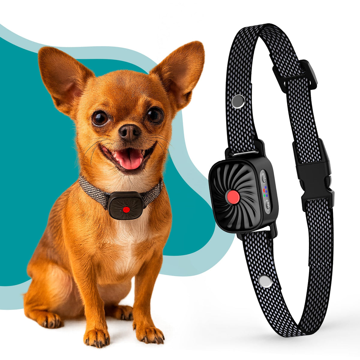 TrainTail bark collar adjustable-strap for small dogs improves comfort during walks