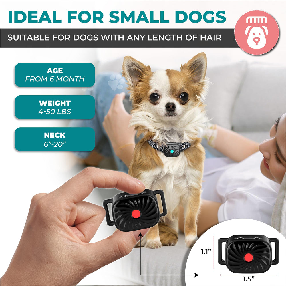 TrainTail bark collar in black design suitable for everyday wear