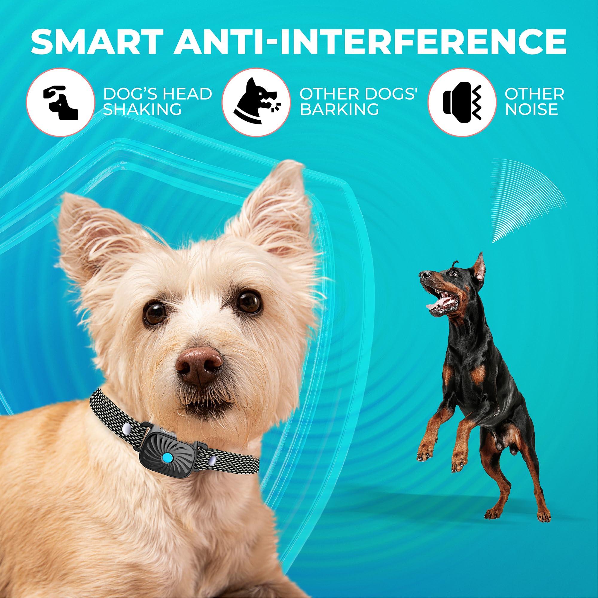 TrainTail bark collar for indoor and outdoor training versatility
