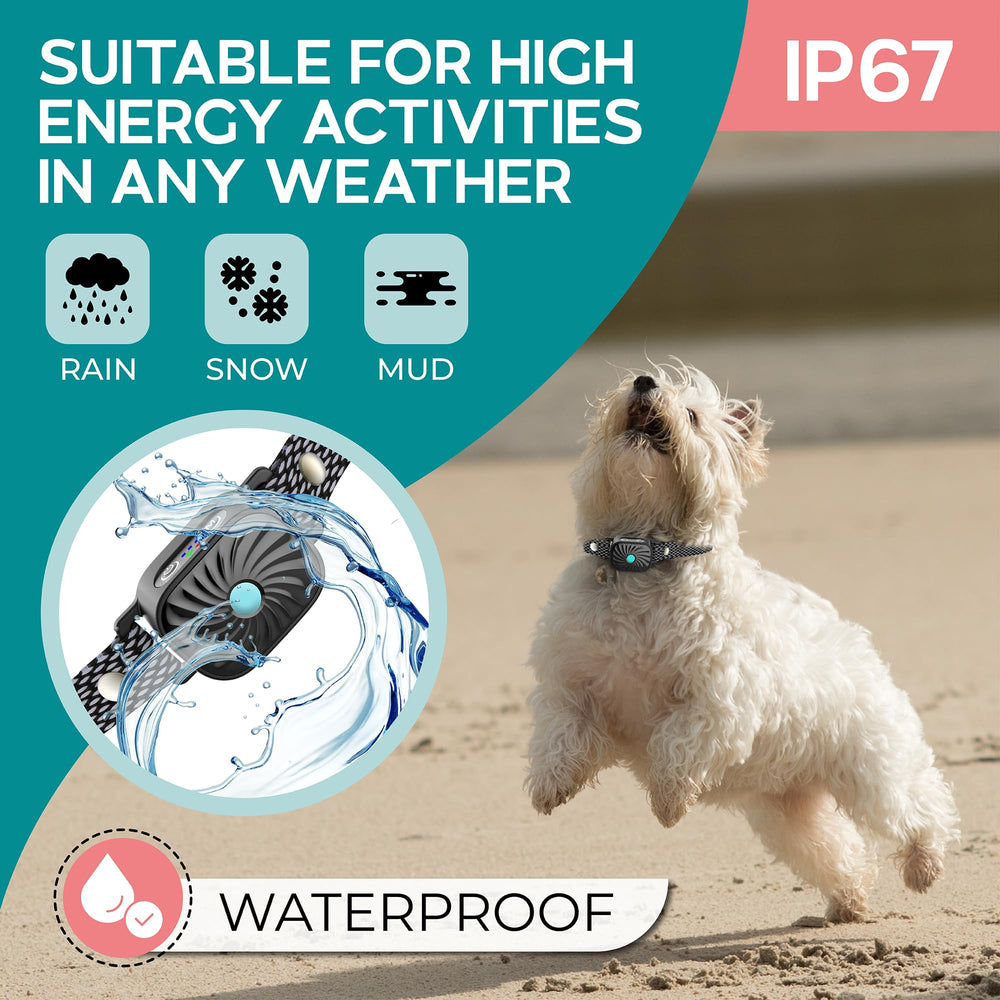 TrainTail bark collar IP67 waterproof rating supports outdoor adventures