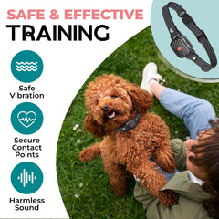 TrainTail bark collar shows four vibration levels for gentle training