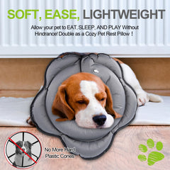 Transni donut collar worn by a dog during a walk, highlighting secure fit with triple security.