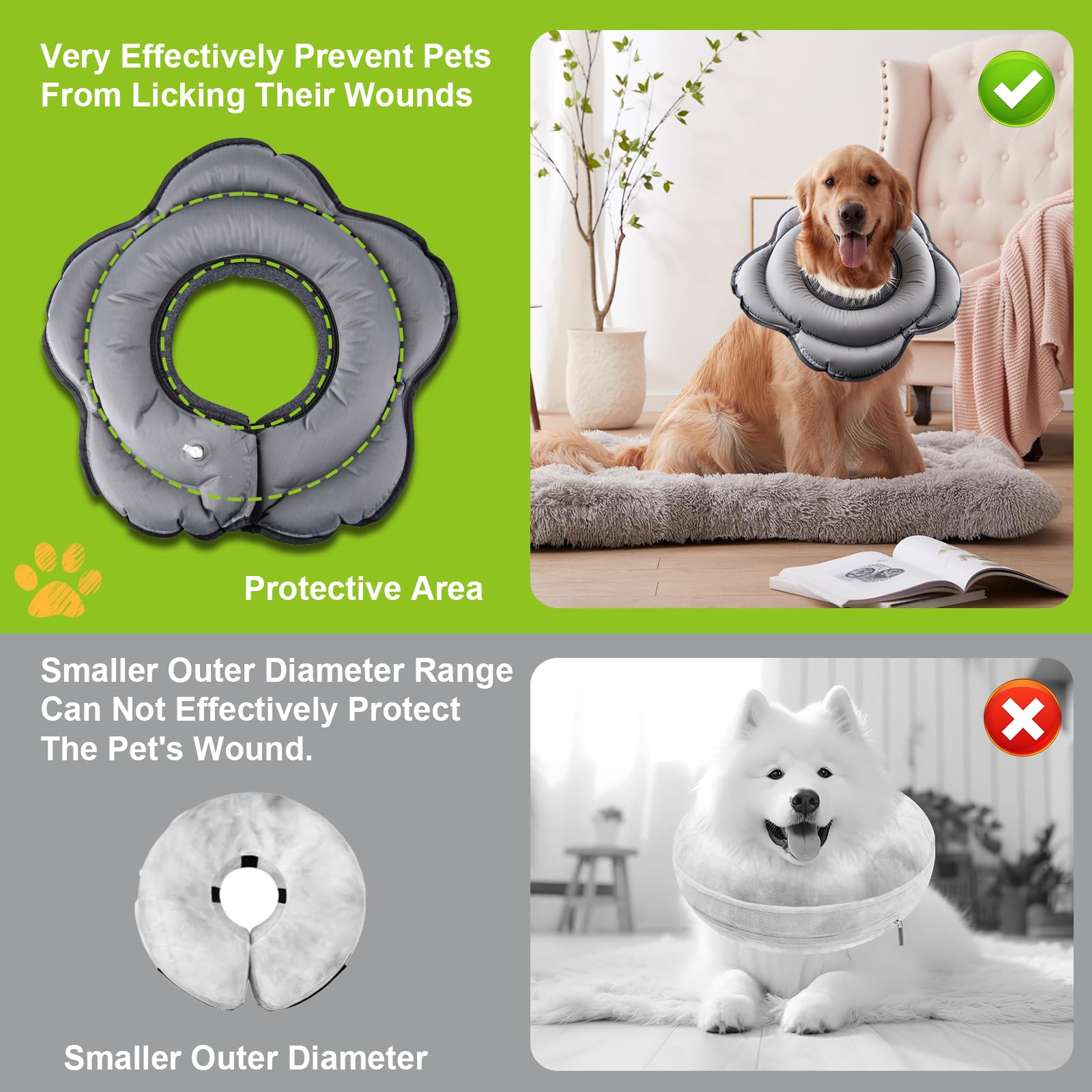 Transni donut collar on a dog during a stroll, illustrating comfort and unobstructed movement.