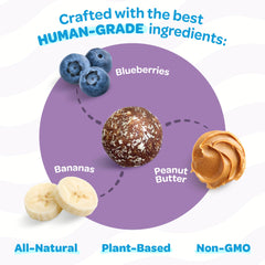 TREAT-A-BALLS blueberry flavor treats in bowl promote fiber-rich snack