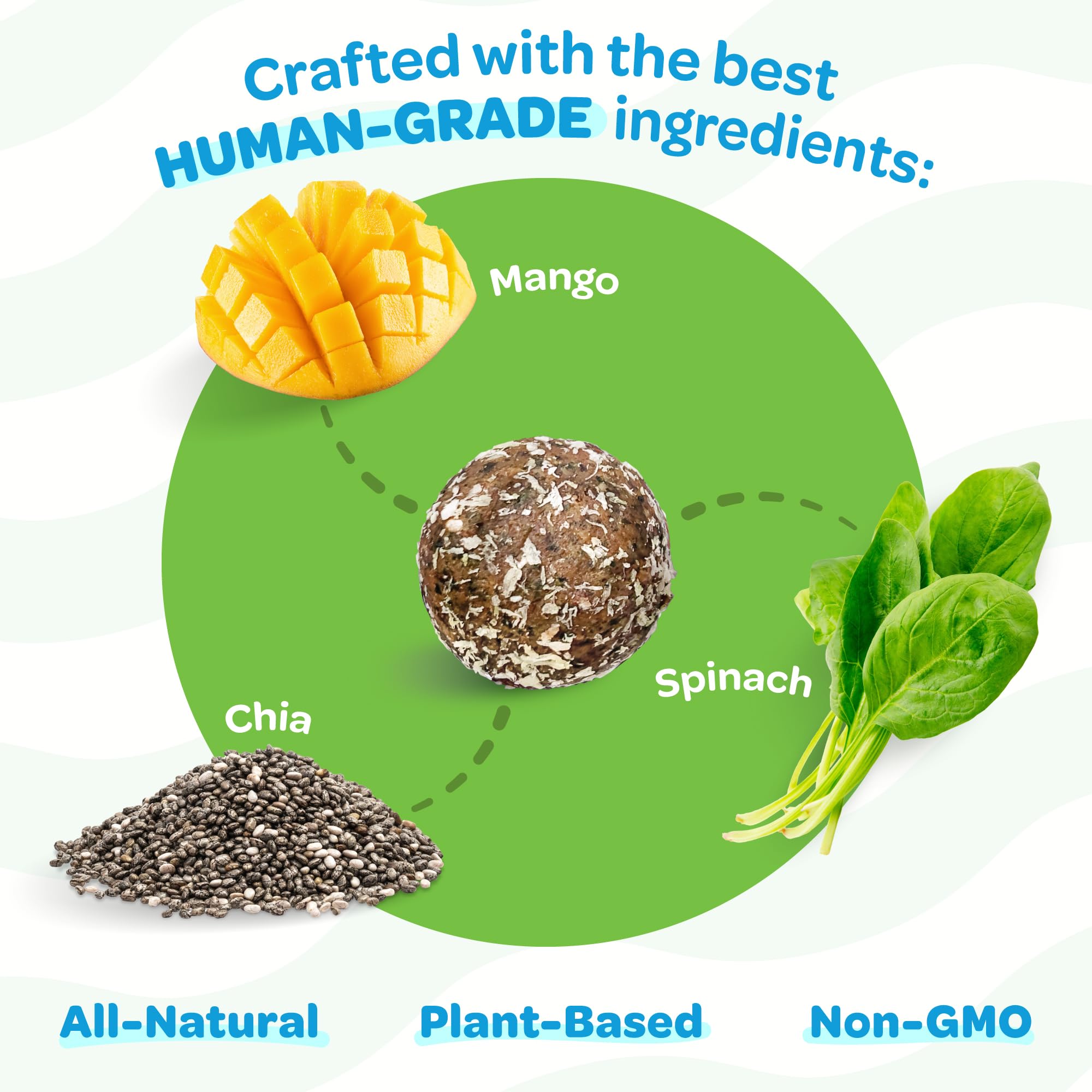 TREAT-A-BALLS ingredients closeup emphasizes natural mango spinach and chia
