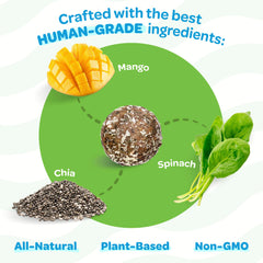 TREAT-A-BALLS ingredients closeup emphasizes natural mango spinach and chia