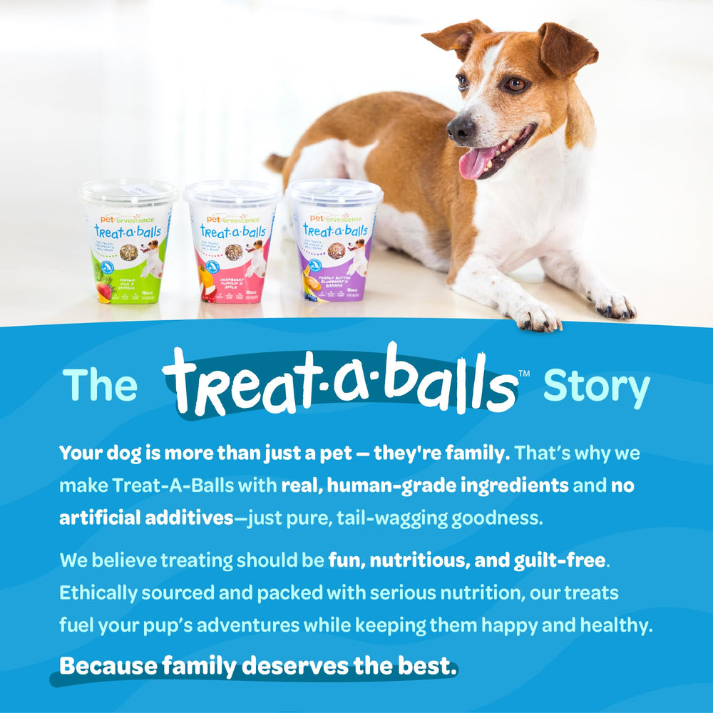 TREAT-A-BALLS mango-spinach-chia snack closeup showcases fruity flavors and fiber-rich benefits