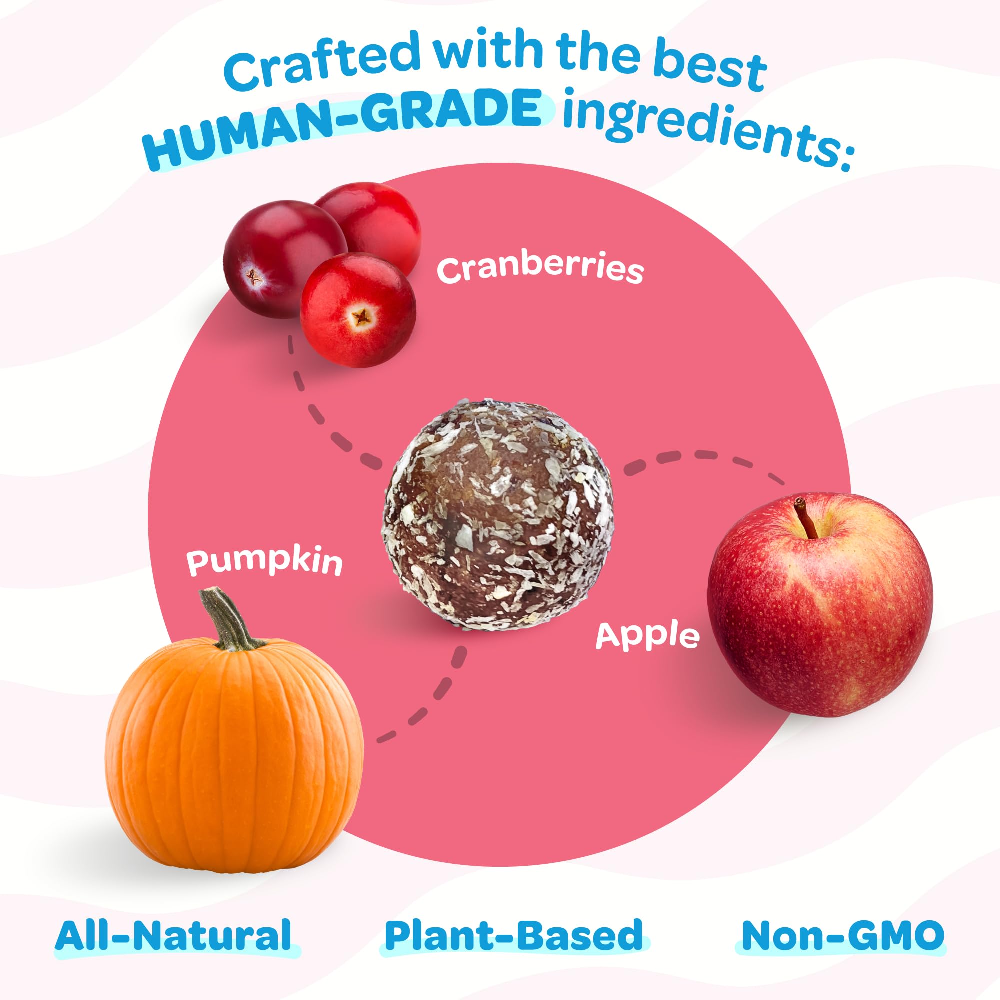 TREAT-A-BALLS vegan-non-gmo ingredients photo—premium, ethical dog treats for mindful owners.