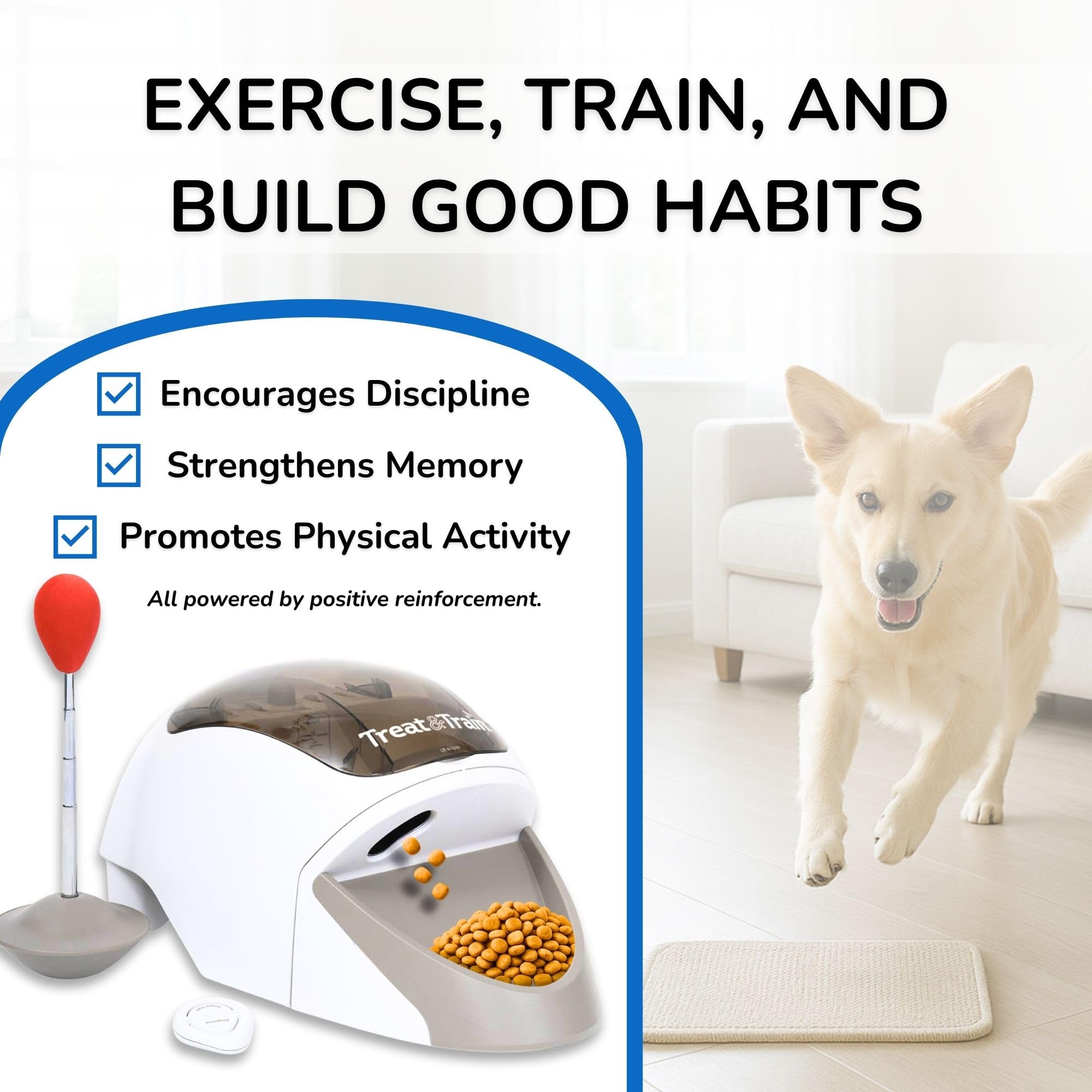 Treat&amp;Train training-scene-all-sizes shows dogs of all sizes learning with positive reinforcement.