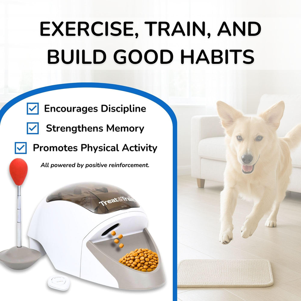 Treat&amp;Train training-scene-all-sizes shows dogs of all sizes learning with positive reinforcement.